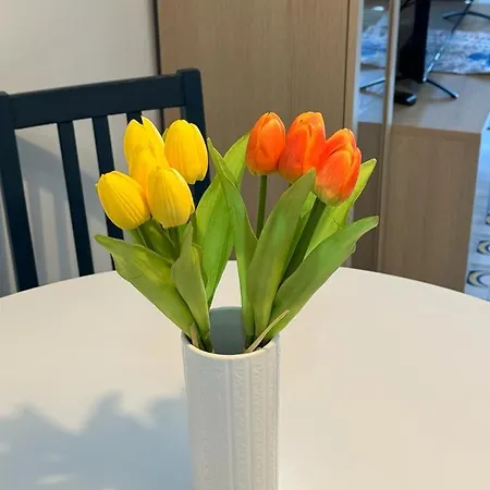 דירה Casa Dei Lauri