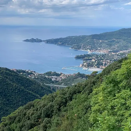 Casa Dei Lauri דירה ראפאלו