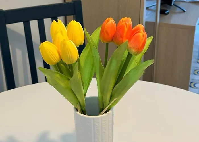 Appartamento Casa Dei Lauri